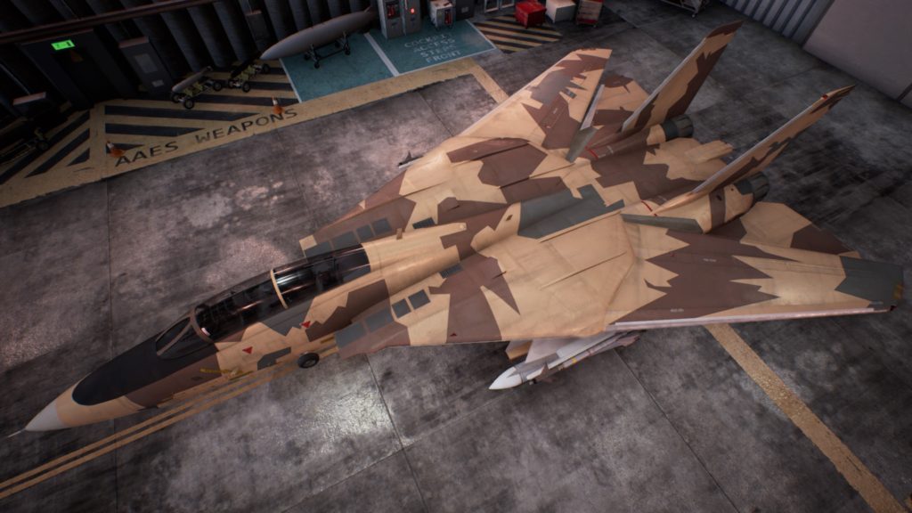 ACE COMBAT™ 7: SKIES UNKNOWN_F-14D Super Tomcat 03 Special Skin